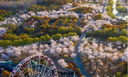 五一适合情侣旅游的地方_五一适合情侣旅游的地方有哪些