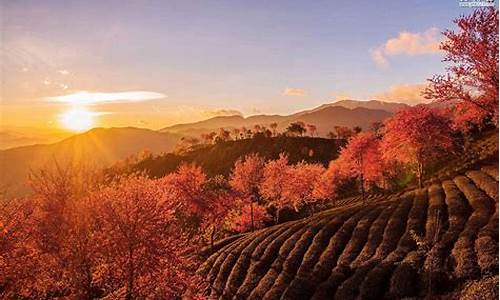 1月份适合旅游的地方_1月份适合旅游的地方有哪些