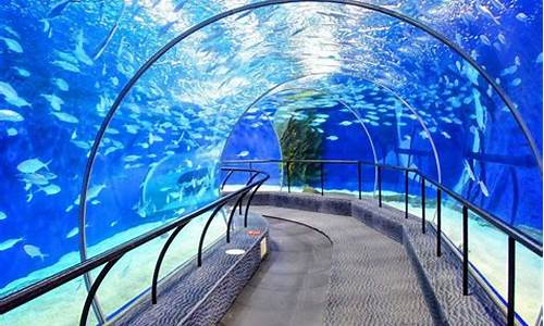 上海海洋水族馆地址_上海海洋水族馆地址地铁几号线