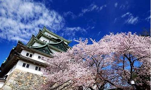 日本十大旅游景点_日本十大旅游景点排名