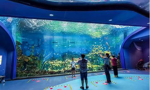 上海水族馆和海昌海洋公园哪个好_上海水族馆和海昌海洋公园哪个好玩